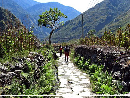 Nepal. En flot stenbelagt sti omkranset af stengrder p vej til Dana. Her er dejligt stille og meget frodigt [copyright: Erik Petersen]