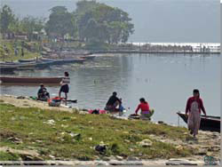 Nepal. Phewa Lake. Pokhara. Kvinder vasker tj i sen [Klik for et strre billede]