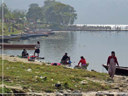 Nepal. Phewa Lake, Pokhara. Kvinder vasker tj i sen