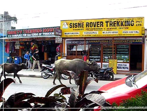 Nepal. Lake Side.   Trekking bureauer er der mange af. Ogs bfler p daglig shopping [copyright: erikpetersen.dk]