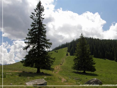 Tatra. Jaworzynskiej. Fra plnen foran hytten kan vi se den grnne sti, som vi skal videre ad