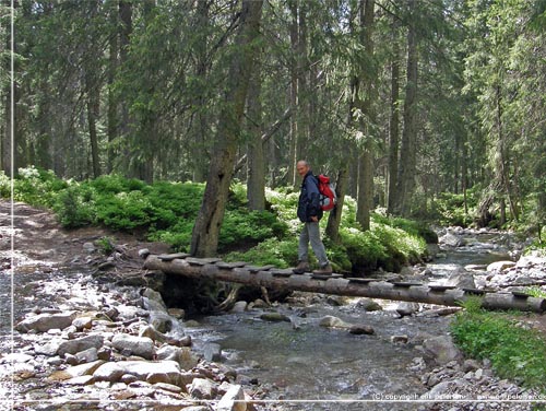 Tatra. Endnu en lille bro. Dennegang kun et par trstammer med trdeplader