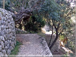 Mallorca. Fint eksempel på Tør stens sti og mur