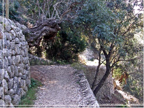 Mallorca. Stien slr et svaj og vi kan se hvad tr-stens byggeteknik kunne