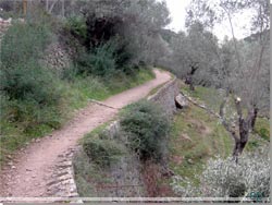 Mallorca. Et stykke af Tr Stens Ruten, Ruta de Piedra en Seco