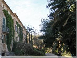 Mallorca. Den tidligere finca, nu cafeteria