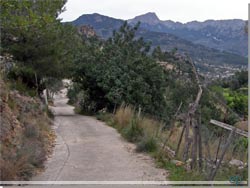 Mallorca. Det er get nedad bakke siden Can Bleda og det gr det stadig