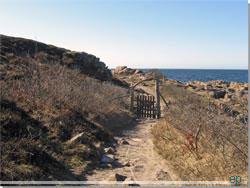 Bornholm. Endnu en fresluse passeres [Klik for et strre billede]