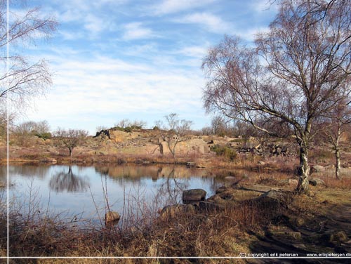 Bornholm. Krystalsen p stien mod Hammer Fyr