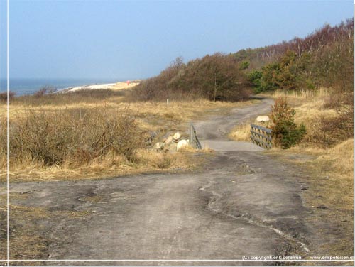 Bornholm. En trbro frer over Bagge 