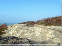 Bornholm. Kultippen. Opgravet ler og sand fra brunkuls brydning [Klik for et strre billede]