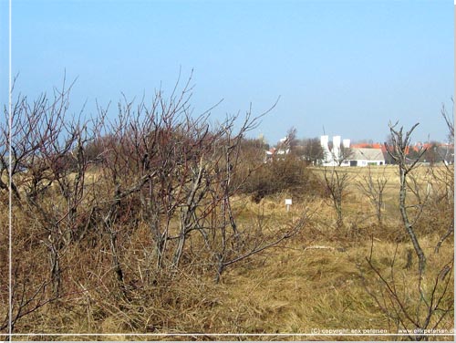 Bornholm. Hasle forude. Skorstene fra rgerierne ses forude, som hvide fyrtrne