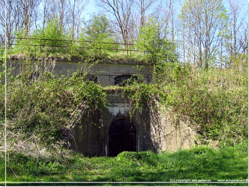 Vestvolden. Vildnisset er ved at overtage en af de gamle bunkers