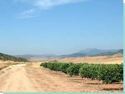 Vinmarker. Vi nærmer os Rioja