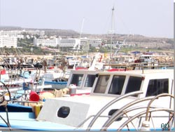Cypern. Havnen i Ayia Napa [Klik for et strre billede]