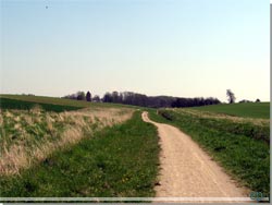 P vej mod Torslunde. Luft og plads til alle sider og sang fra Lrken [Klik for et strre billede]