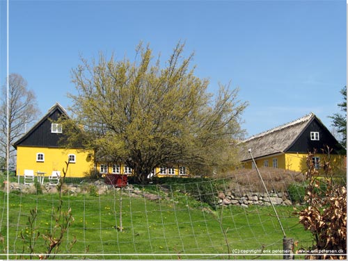 Et flot eksemplar af en af de tre gamle grde, der er tilbage i Torslunde