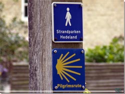 Den, for nogle, velkendte gule camino muslingeskal og indskriften 'Pilgrimsrute' [Klik for et strre billede]