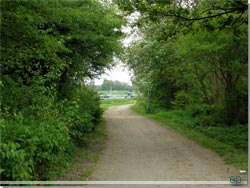 S dukker hovedvej 243 og busstoppestedet op forude [Klik for et strre billede]