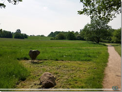 Stien der gr langs med Skken og Ryget Skov