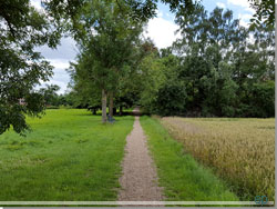 Præstegårdsvej, en sti, resten af turen til Taastrup Kirke