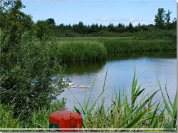 Harrestrup Mose. Ren idyl p en sommerdag