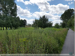 Langs Albertslund Golfklubs arealer
