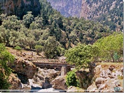 Broen til den forladte landsby
Samaria