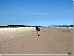 Den brede strand mellem Mälerhusen og Borrby Den brede strand mellem Mälerhusen og Borrby