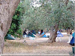 Kreta. Teltpladsen på Camping Paleochora Kreta. Teltpladsen på Camping Paleochora