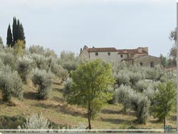 Toscana. Landlig idyl ved Fiesol udenfor Firenze [Klik for et strre bilede]