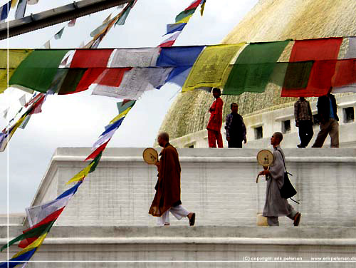 Nepal. Kathmandu. Munke p Bouddhanath stupaen. Den store stupa