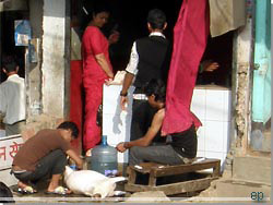 Nepal. Kathmandu. Slagter p arbejde p fortovet foran sin butik [Klik for et strre billede]