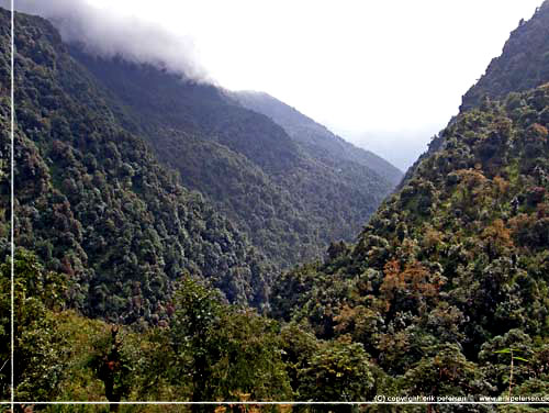 Nepal. Grnne, grnne bjergsider i klften p vejen mod Tadapani