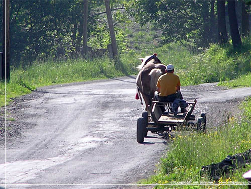 taxa Hen imod Steward En hestetrukket vogn er et almindeligt syn - inspiration til vandreture i  Slovakiet. Foto