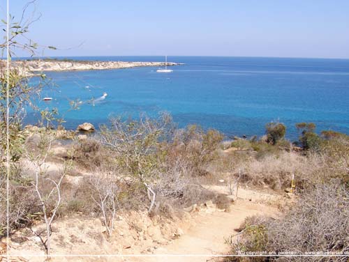 Cypern. Et kig tilbage mod Konnos Bay