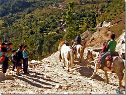 Nepal. Hestefolk p vej over passet p vej til vinterhi i lavere liggende omrder [Klik for et strre billede]