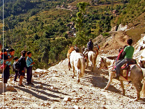 Nepal. En karavane af heste, p vej til vinterhi i lavere liggende omrder [copyright: Erik Petersen]