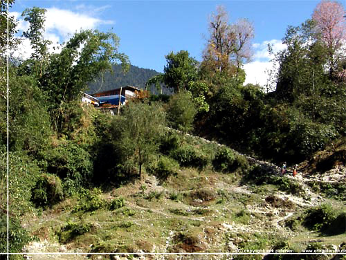 Nepal. S dukker Shikha endelig op - p toppen af en bakke [copyright: Erik Petersen]