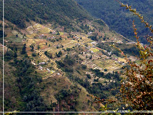 Nepal. Dybt nede, p den modsatte bjergside, ligger terrassemarker og nogle f huse [copyright: Erik Petersen]