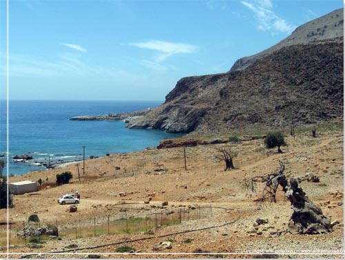 Et skue bagud mod det flade stykke land og det gamle knortede oliventr. Marmara Beach i baggrunden