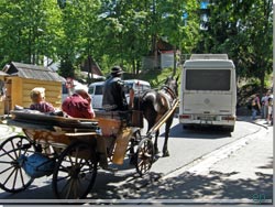 Minibusser, taxaer og hestedrotsher krer i pendulfart til og fra Kuznice
