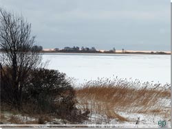 Vinterkldt landskab i strandparken