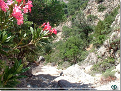 Kreta. Anidri kløften Kreta. Anidri kløften